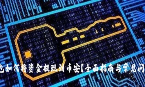 t p钱包如何将资金提现到币安？全面指南与常见问题解答