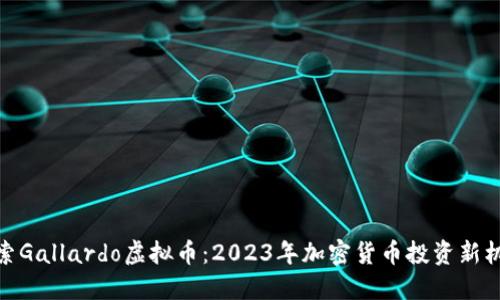探索Gallardo虚拟币：2023年加密货币投资新机遇