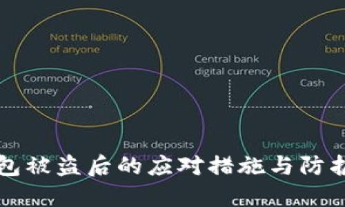 TP钱包被盗后的应对措施与防护指南