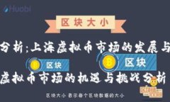 案例分析：上海虚拟币市