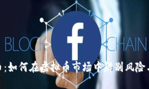 微假币：如何在虚拟币市场中辨别风险与机遇